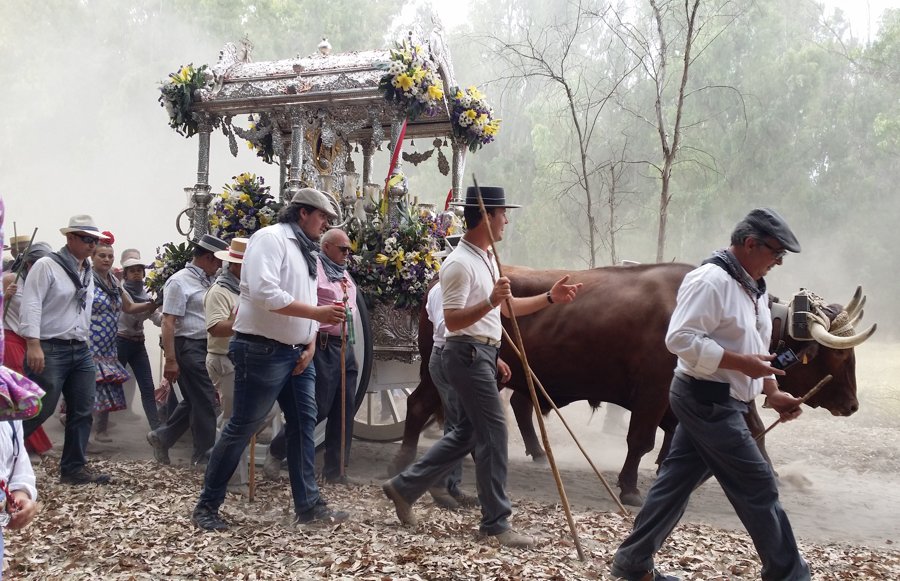 Peregrinación al Rocío Moguer